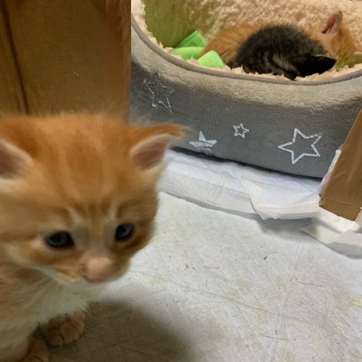 8f4dd895 e24f 43d4 83d9 b71e6d06e610 1570373922008