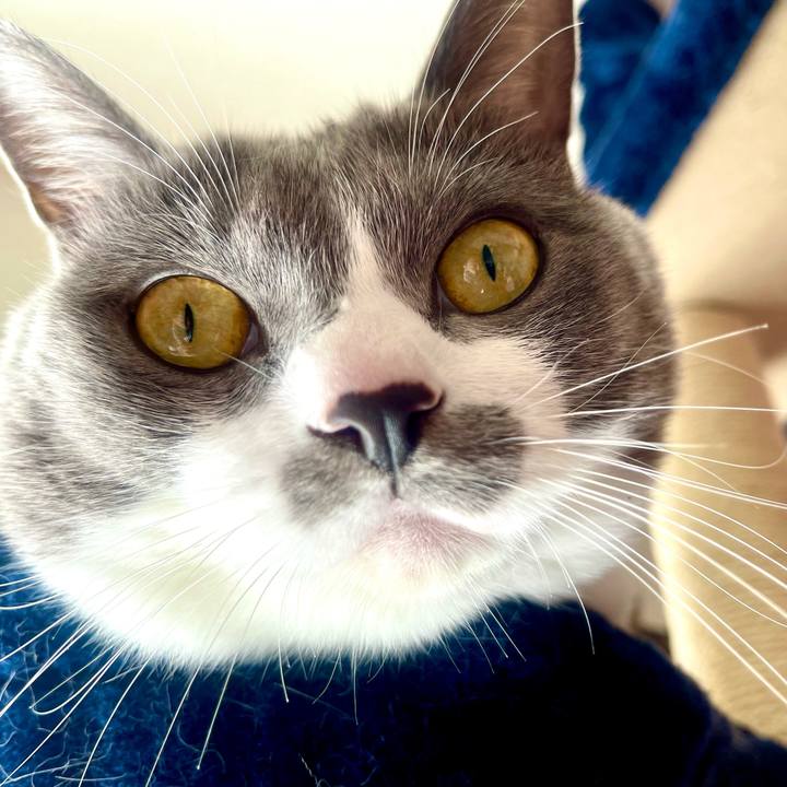 8f4de926 7566 43e0 834e 54123bd4aa7a 1636855623295