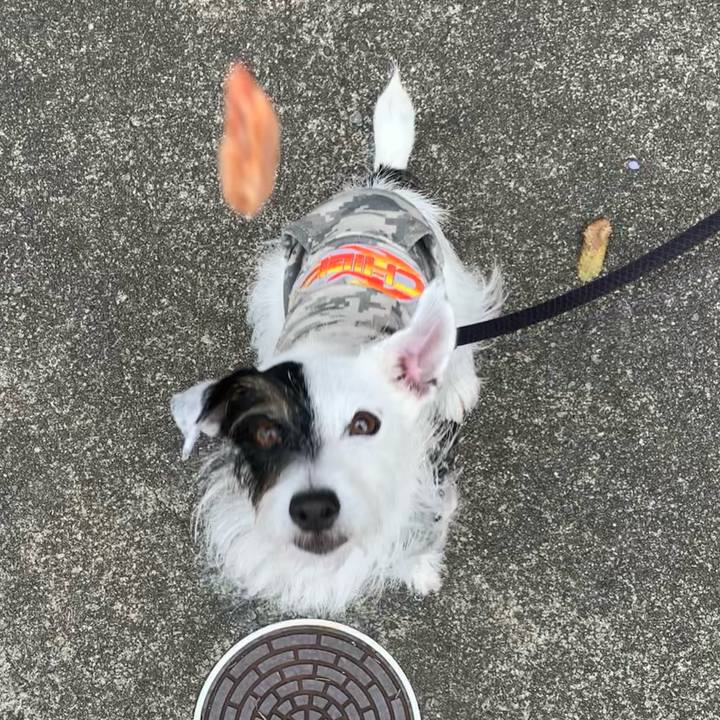 8f4def5a e550 44a9 a5aa 5bb244fa2267 1666657334934