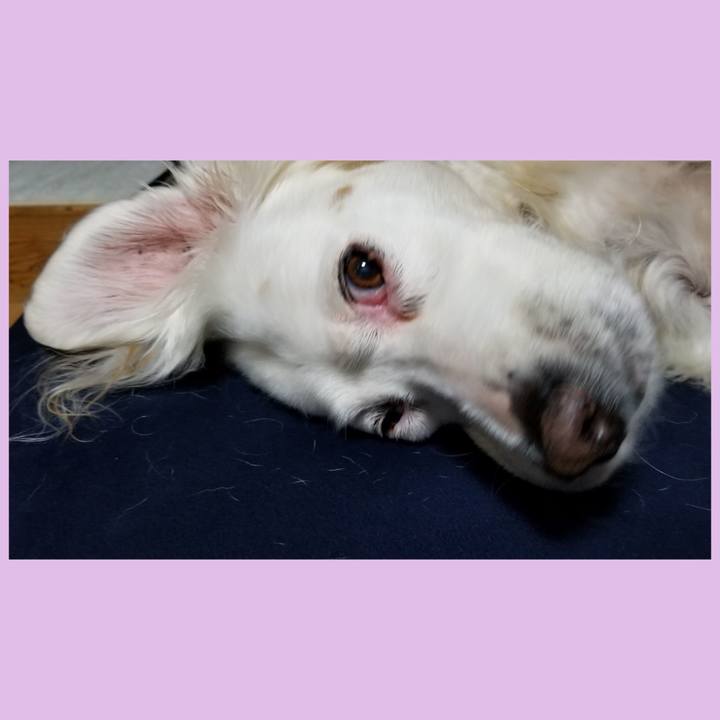 8f4df800 9d1d 44ab 8488 f9e36fb03597 1678191280403