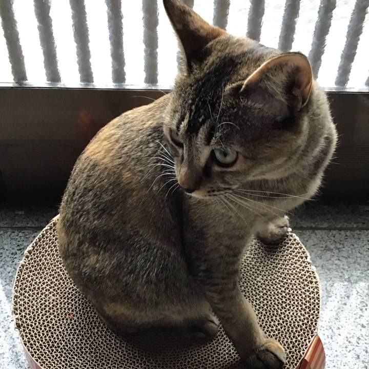 8f4e5137 1c5a 4f68 993e 21c27d76a099 1580796690800