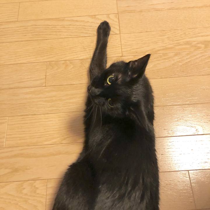 8f4edde5 febf 478e aa79 b3e31eaa85fc 1578752781687