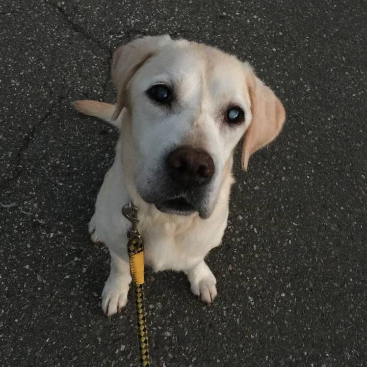 8f4ee03f 12b3 4869 aab2 f6c202ab2639 1533811636051