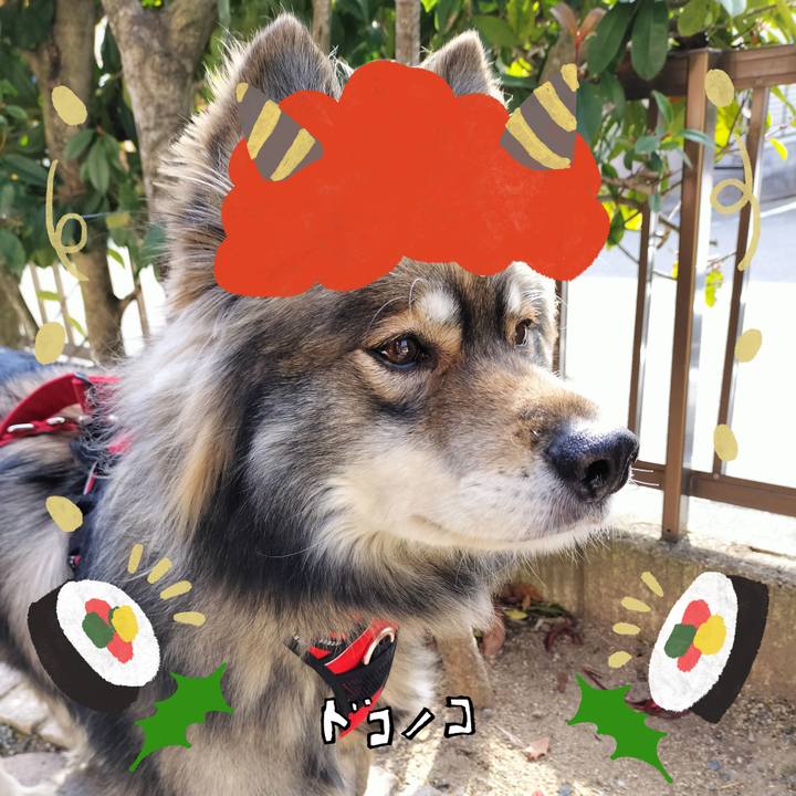 8f4f01c6 aec9 437e 8d3c 286cd881da2b 1706963459207