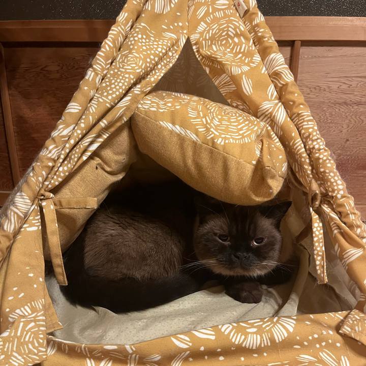 8f4f1110 78ab 4d74 bb13 e8a4f8997766 1756732385135