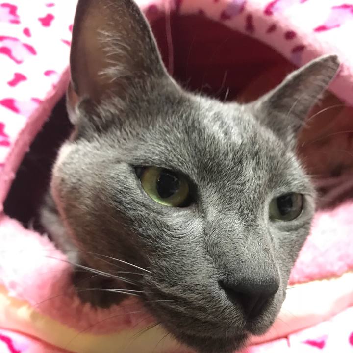 8f4f336d 4a1f 4616 aef3 d02b7fa57758 1519381281990