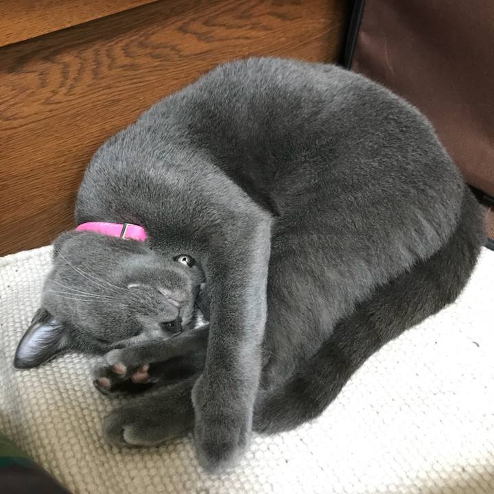 8f4f484b fb3e 44b2 847e fc3b5e387089 1534171556090