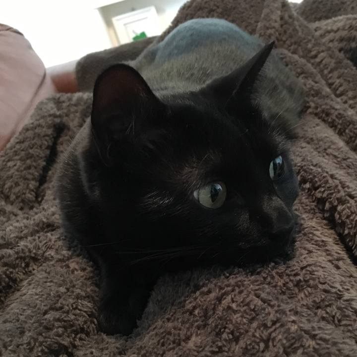 8f4f6710 8ba0 4cac 8375 fe880fca7d37 1517726957161