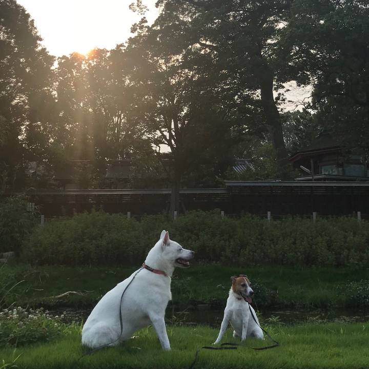 8f4f6d8a 6b96 4d10 8bab 9b38c66d177c 1531865911871