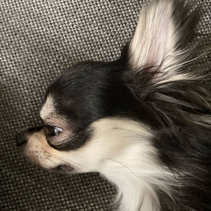 8f4fc59d 687a 4d5d 8db7 b7e26ae54e89 1610895510393