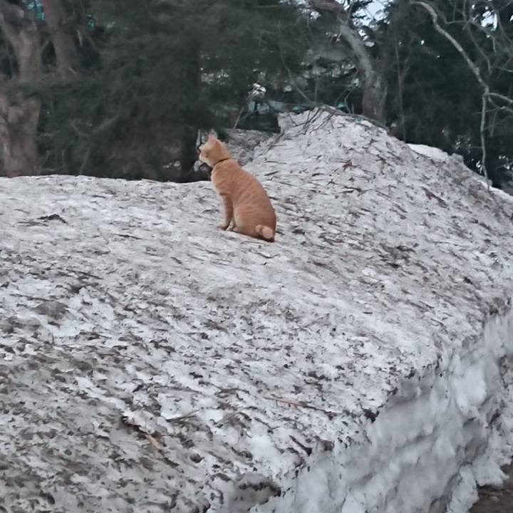 8f4fd888 a4c3 4e3c 8e62 78e8abac3cef 1647551793253