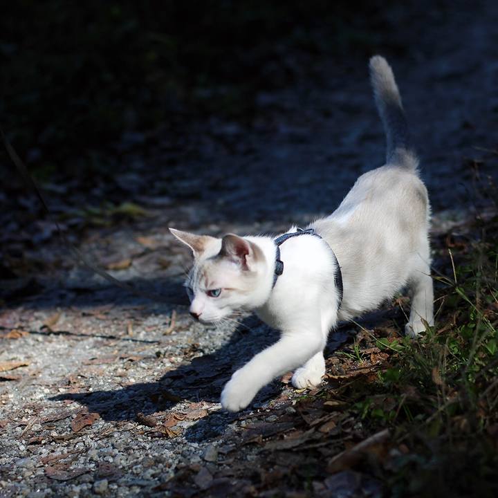 8f4fe75c 8a44 4a0c 9646 020b4eedf15c 1607341889144