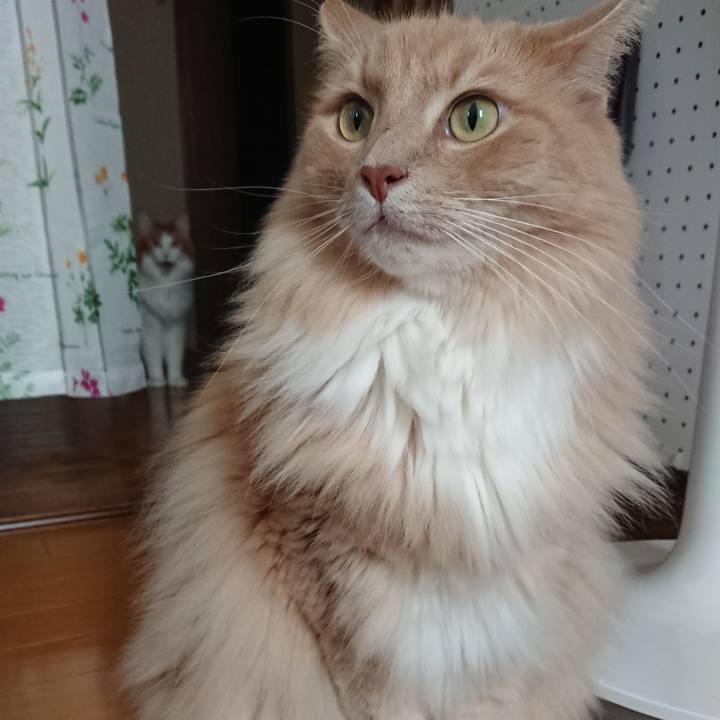 8f4feb16 1b0d 45cc 8294 eef99a4a1fb7 1570237519985