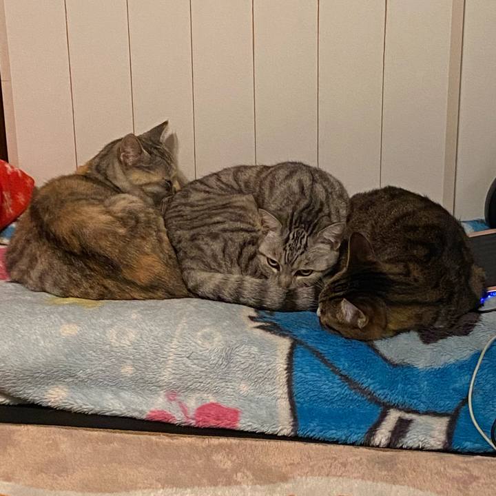 8f4ff527 02ae 4c16 acce 0551eb40b848 1576312421256