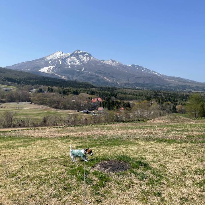 8f4ff5f0 1d78 494f b631 087aaa8720f6 1651935111272