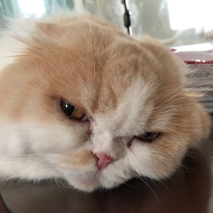 8f501b60 4073 43bc ae5c bfbadd5416ef 1629501795991