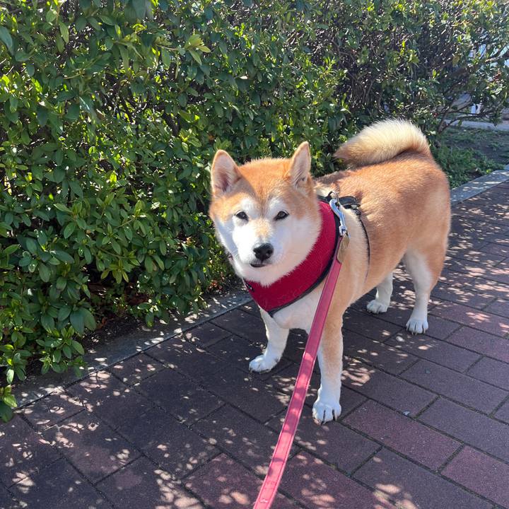 8f501fcc 4a8a 4493 a2a5 d0cfc23e143f 1709087209195