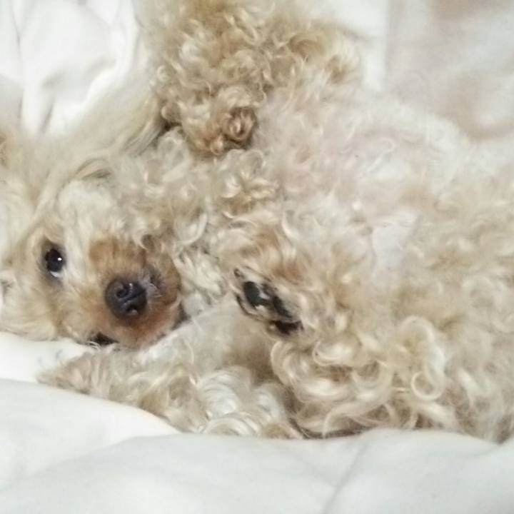 8f505d72 a568 438d 8906 3a4d3ffa80ac 1530969923050