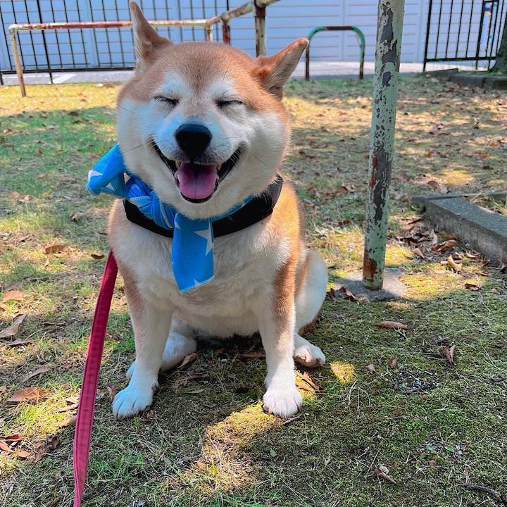 8f506704 c01b 4aae 8264 9367ba9c9e5e 1758606772591