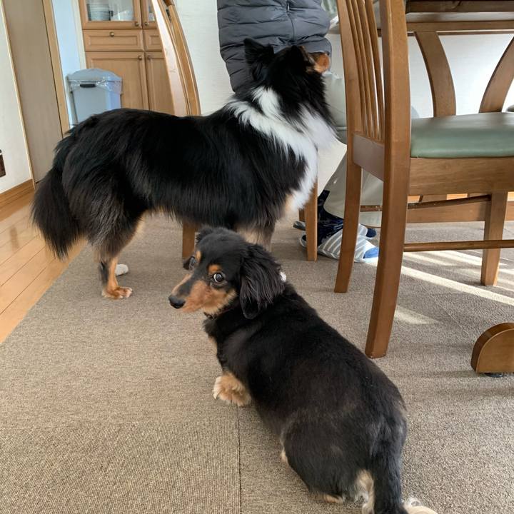 8f50734c 511c 4e4b b5d0 6cc8474b869a 1587505821775