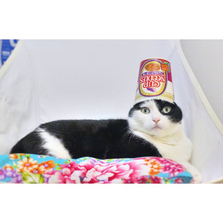 8f50827f e494 4e77 ba38 5adf48f7033a 1585107727859