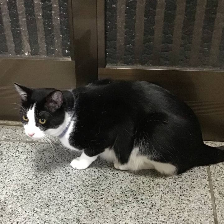 8f509022 2d64 41a0 86e1 eaf4e1de4368 1669377422791