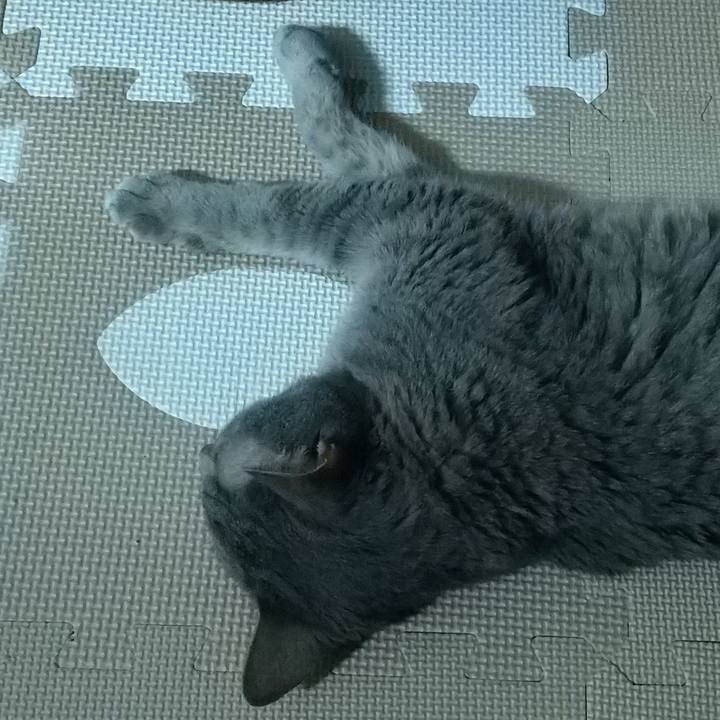 8f509579 f7d4 4b5d 9c17 b833125bb8c5 1692267533093