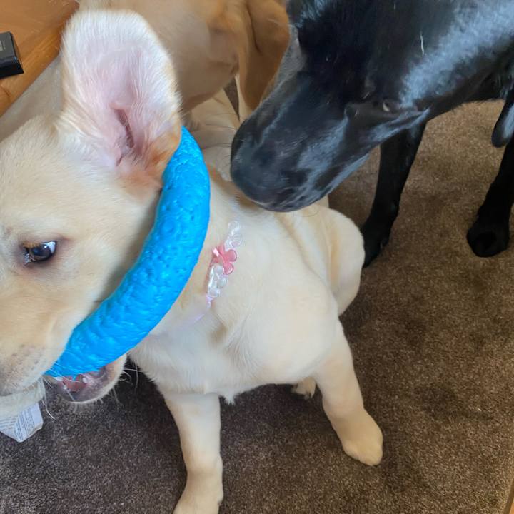 8f50aaac d33e 4e47 a9af 5a02a3fec8ed 1614495179716