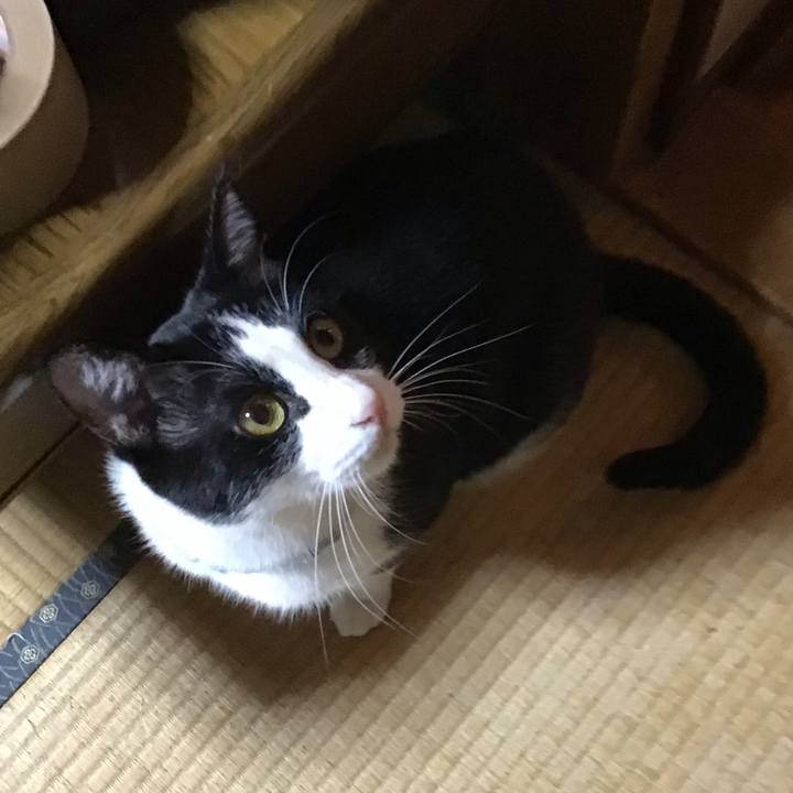 8f50d273 a059 4e12 bde6 40cc57812699 1666268280814