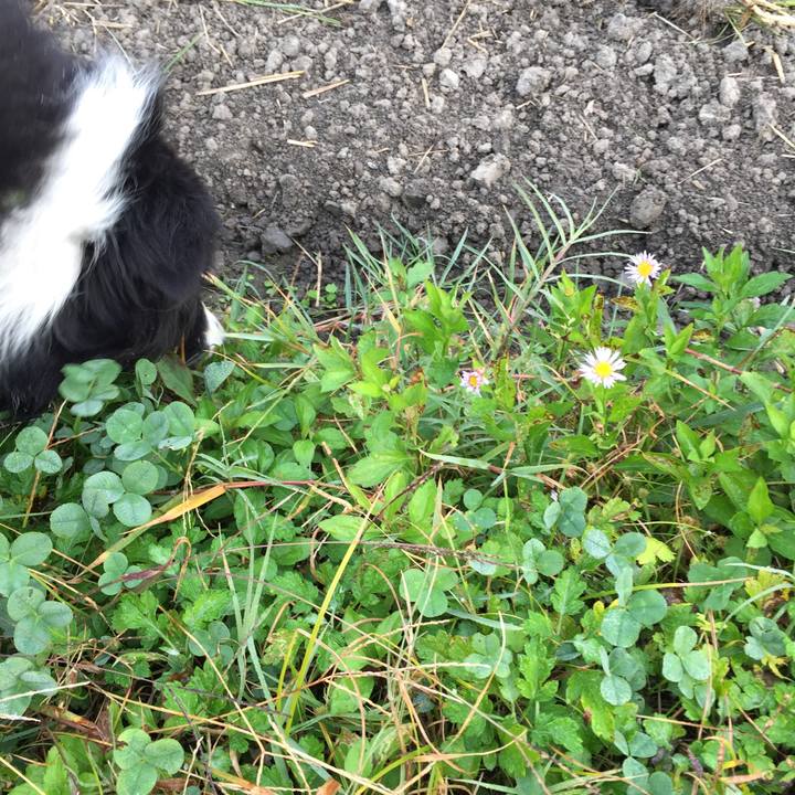 8f50ea38 43e4 4484 aae7 4a5f3f01dff4 1573081542316