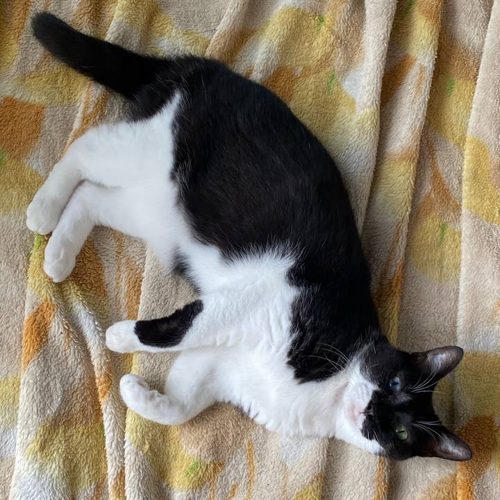 8f50ecdc 9314 44e3 be68 c8f80dc67203 1728272698043