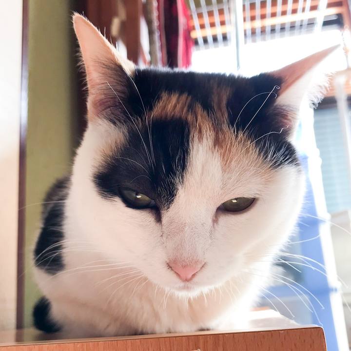 8f50ee02 5310 41b6 b942 7113e9615f16 1524878728341