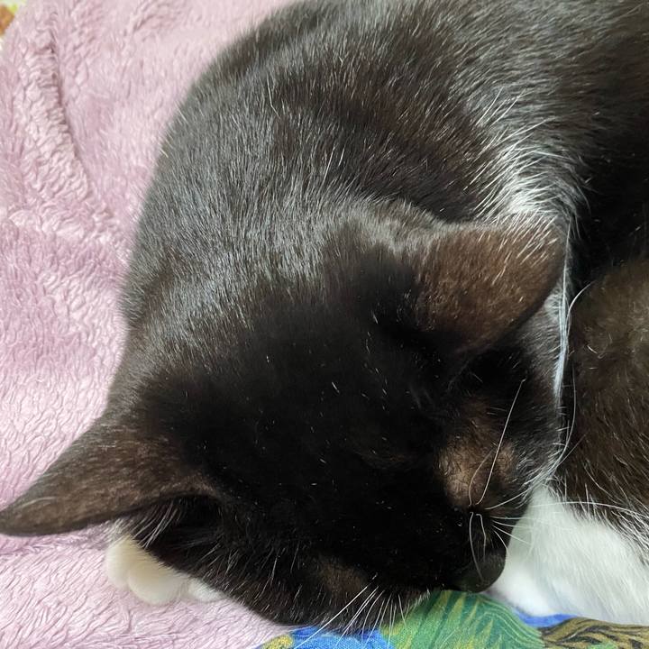 8f5102c4 1c11 45c4 9618 05822e7a6bcd 1610971922795