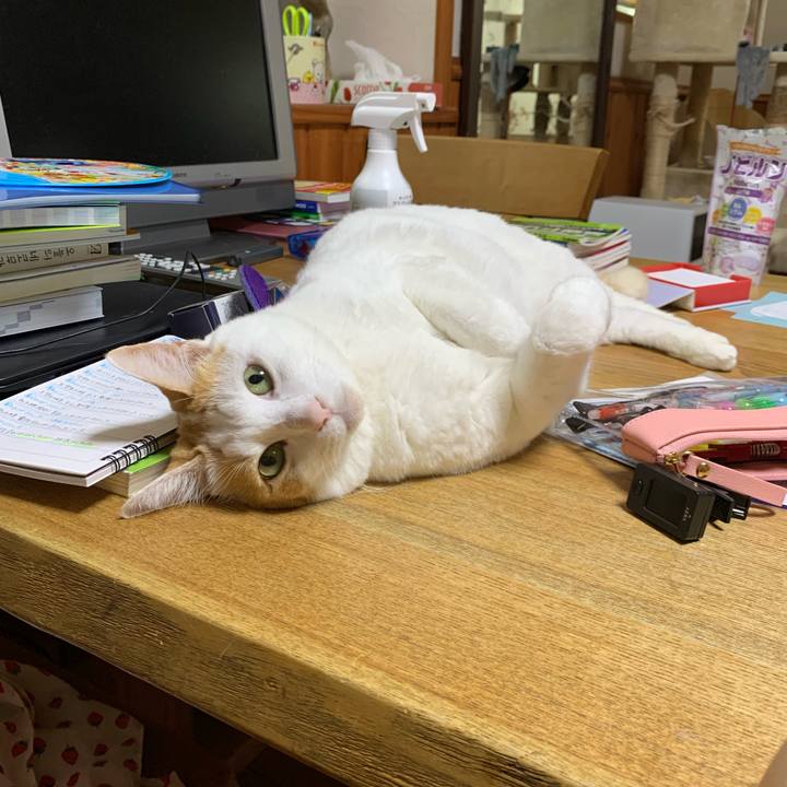 8f512fbe f417 458d a458 cfdf032264f4 1628840082895