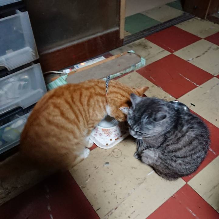 8f514849 365f 42f6 8f50 806874ab8cba 1570912365801