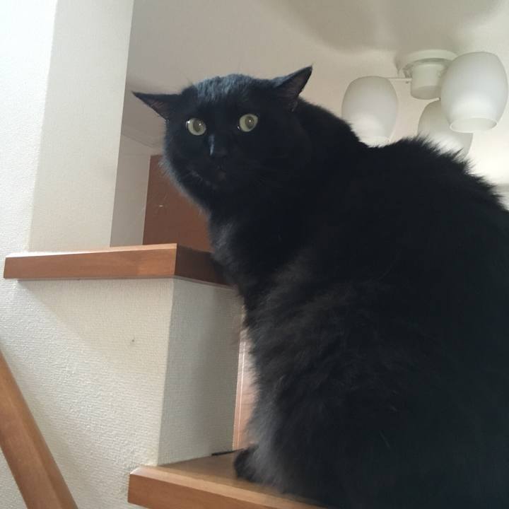 8f515f8f ce12 4932 9b5d 7cd4f3becb6b 1563240249424