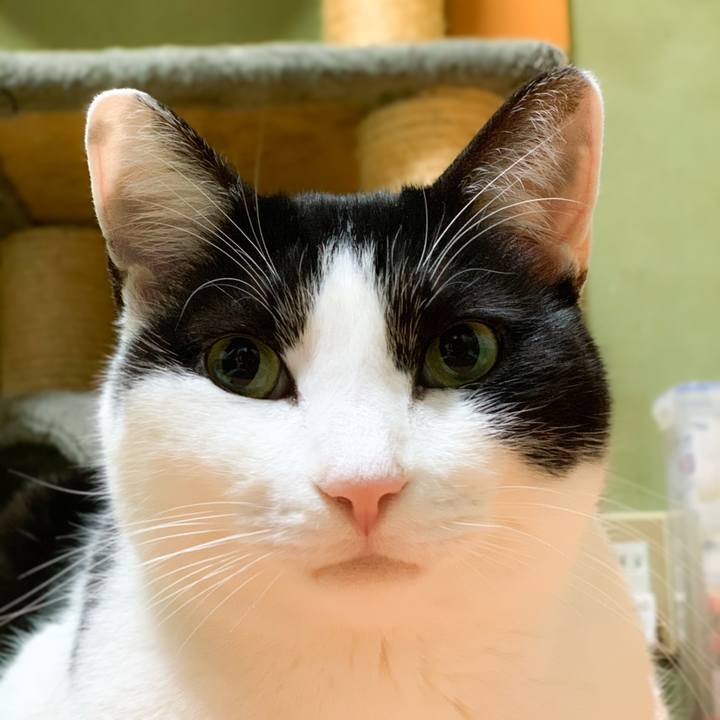 8f5183b1 d585 4f8b b643 66dda3dd9760 1580175468052