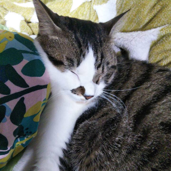 8f51992e 34aa 4c22 8f69 8884d3841d7d 1637104428265