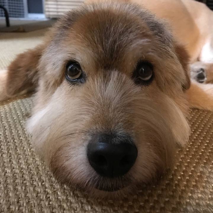 8f51b287 92f0 4231 a8e0 f05758d2639f 1595635348048