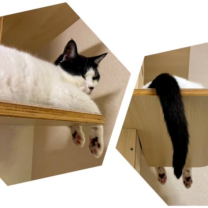 8f51b2a9 e112 42cb b56f e15ed2673bb5 1756636418305