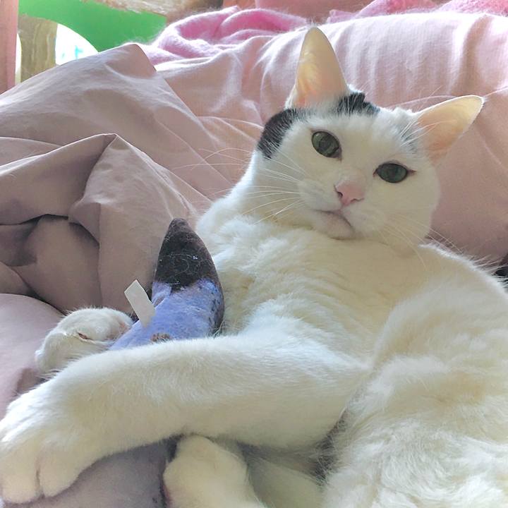 8f51c570 e4b2 4940 95c3 9d85b791c229 1618269788987