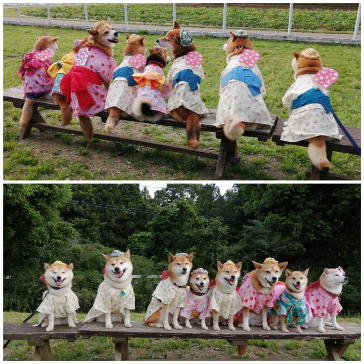 8f51c898 269d 47da a7fd c9b1ca369bec 1653818123105