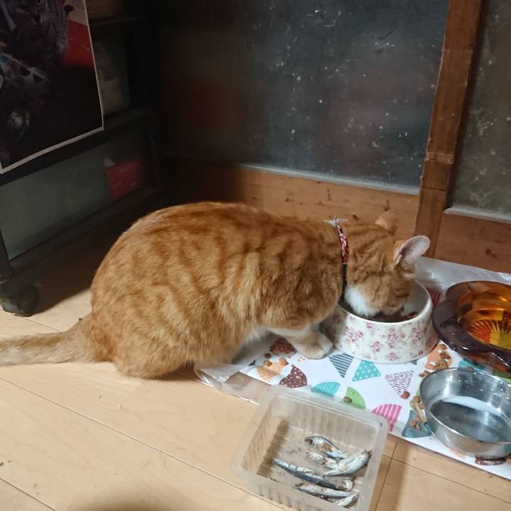 8f52140c ee9a 41b4 81b3 0168c67025b7 1603789265308