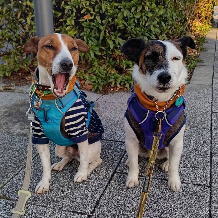 8f5250f8 bd9e 4913 8985 0e128ccea35e 1646864709567