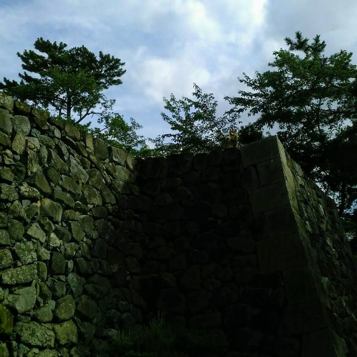 8f52600c 8faf 464d a8f6 b49a718e9a65 1565093825464