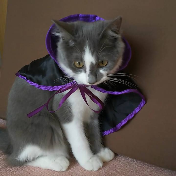 8f5272c0 4e01 467d 8d8c e7c290573c97 1568520496608