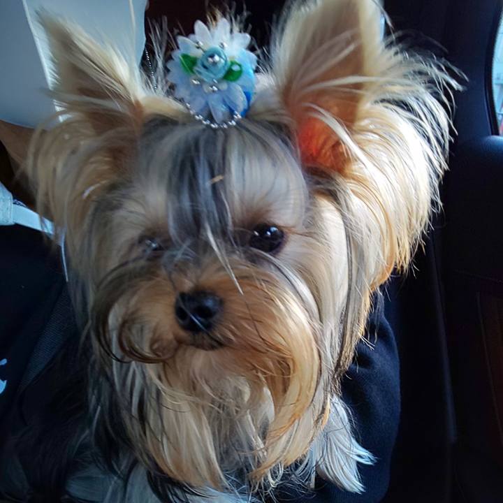 8f527d4d 50f5 46c9 8729 d4ff1961b34f 1603526955523