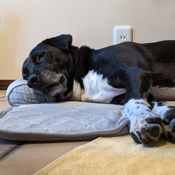 8f528a5a 7176 49a5 8996 51929ce420b2 1689582419780