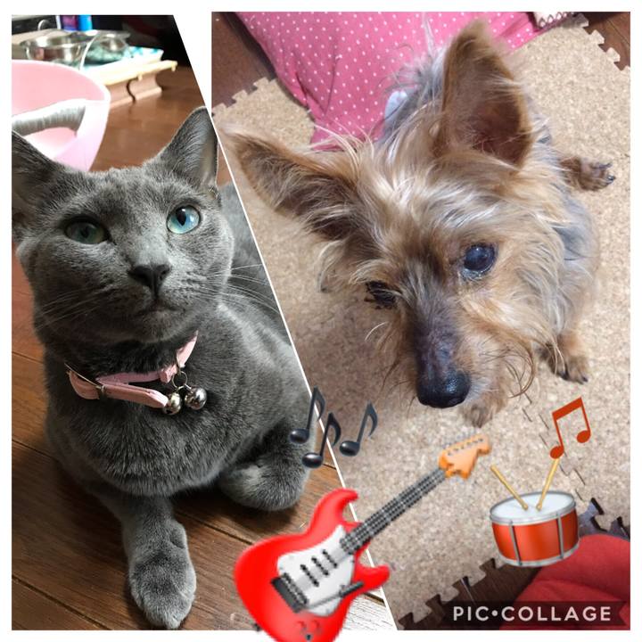 8f52acd6 367b 4bdc 8783 4303c4b90e2d 1565511498139