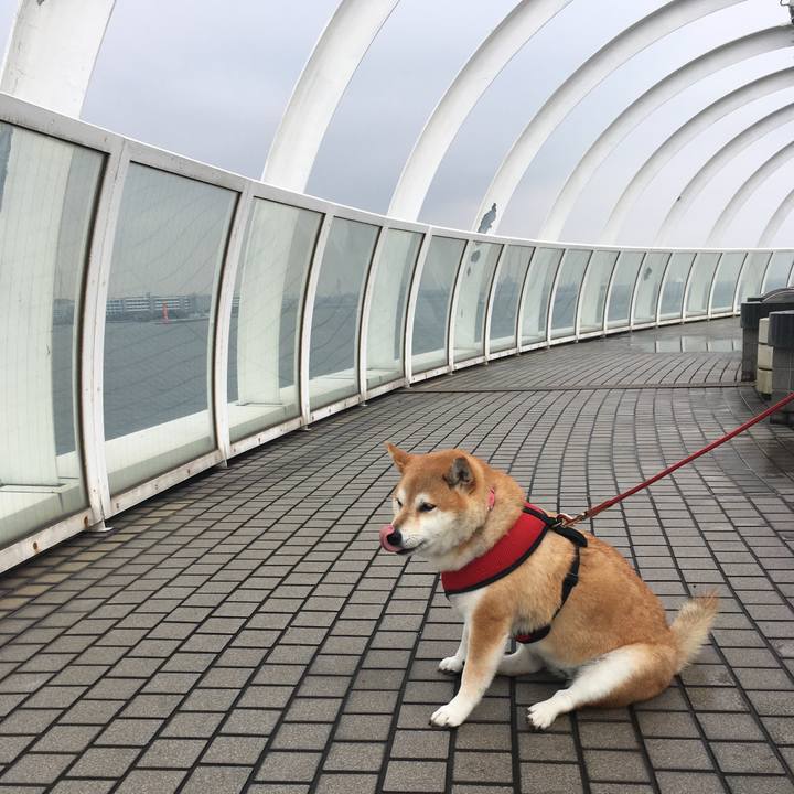 8f52b036 62a3 409a 8659 ff3e977709f7 1604376955143